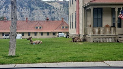 Renting a Home in Yellowstone